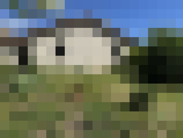  / #8