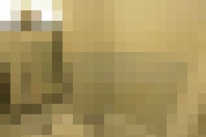  / #19