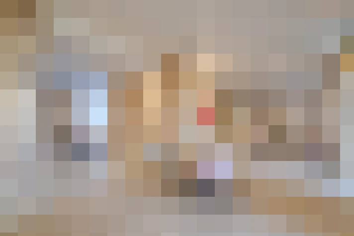  / #14