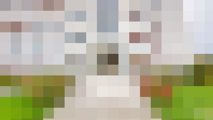  / #15