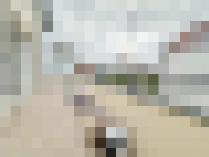  / #14
