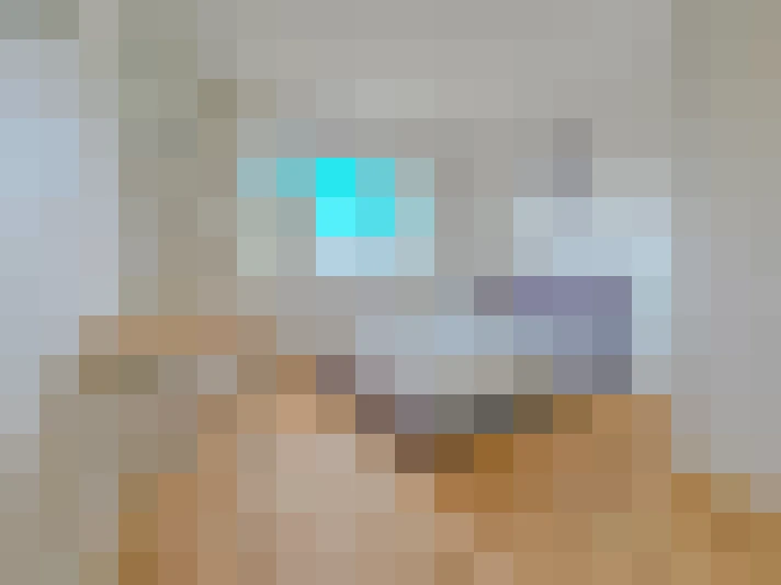  / #19