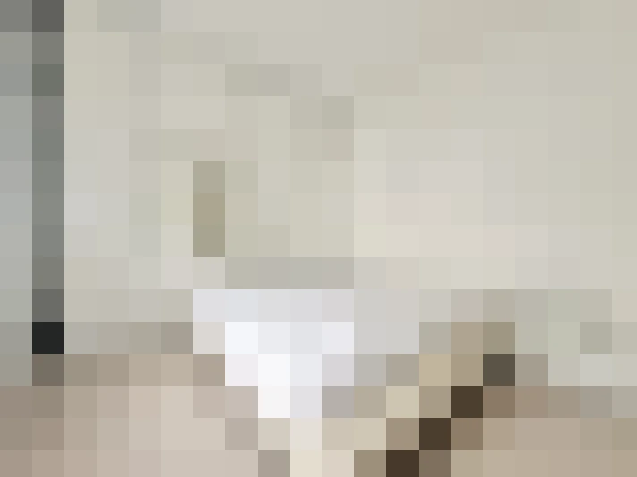  / #20