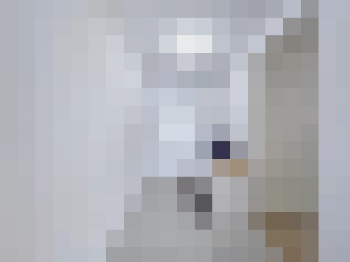  / #14