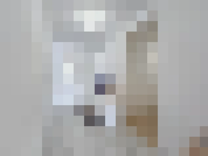  / #15