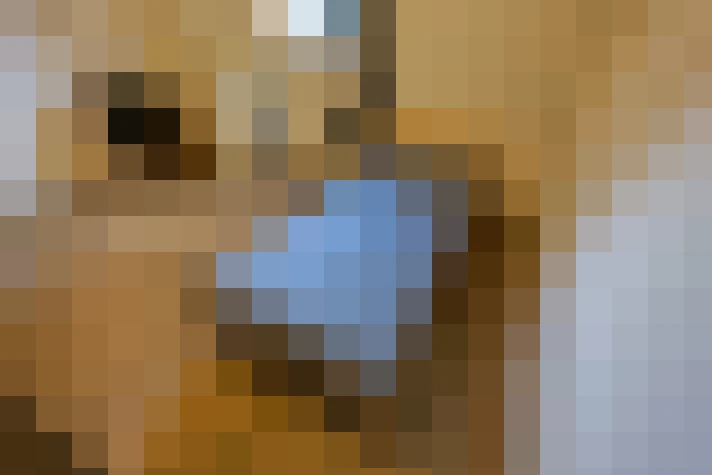  / #17