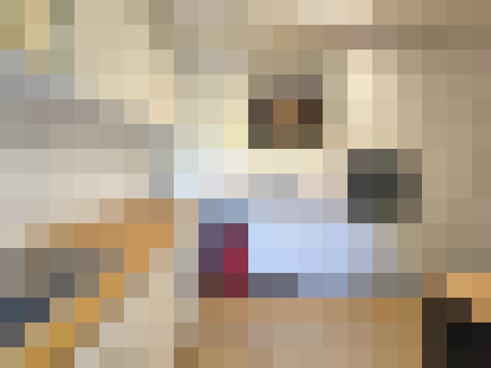  / #12