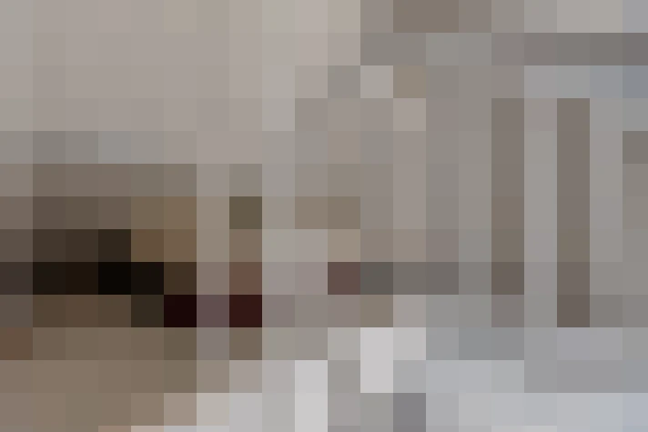  / #15