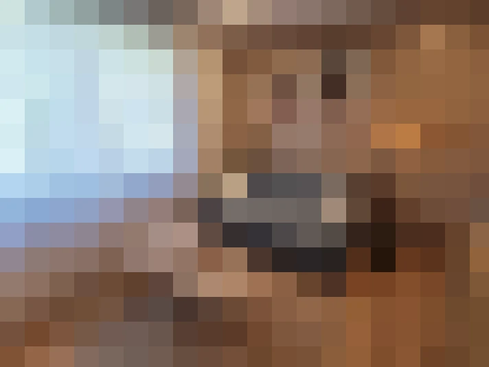  / #7