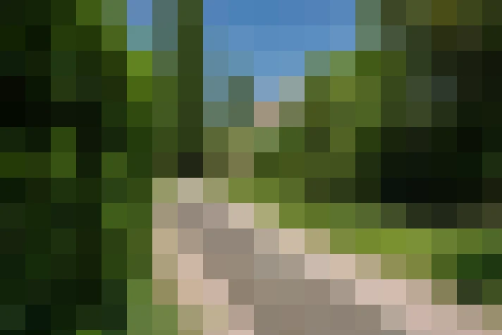  / #13