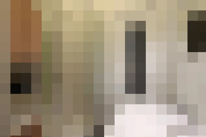  / #14