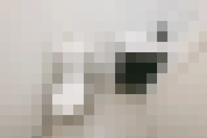  / #14
