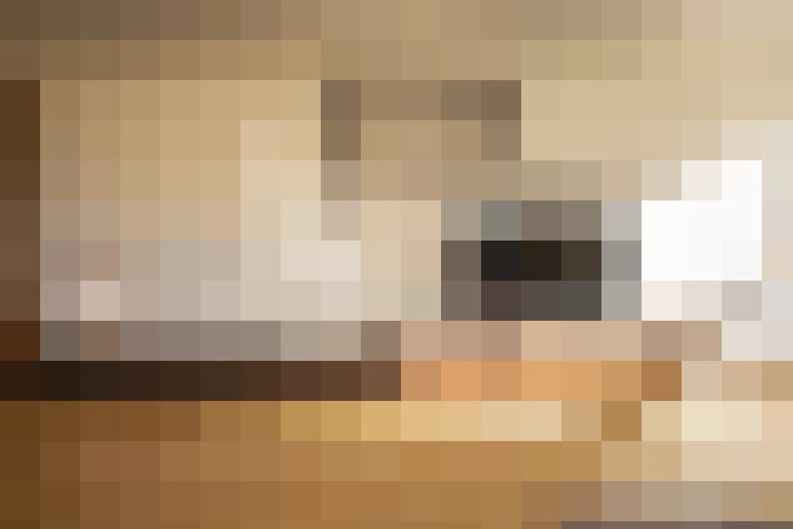  / #15