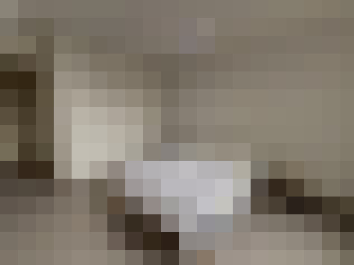  / #8