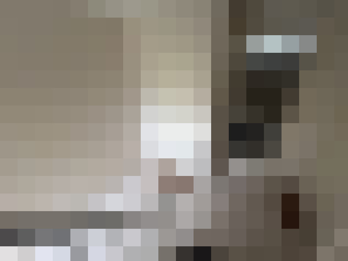  / #16