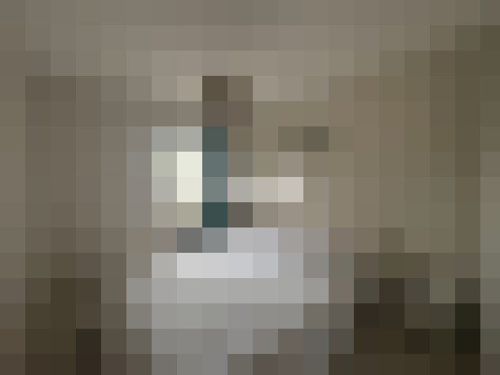  / #8