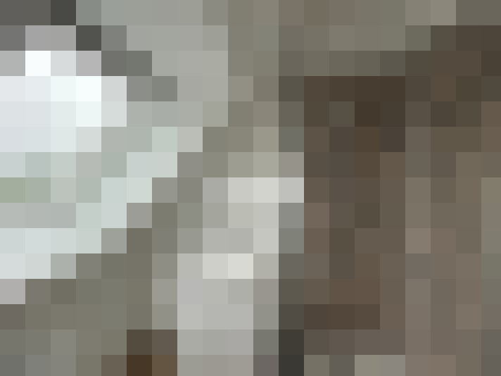  / #17