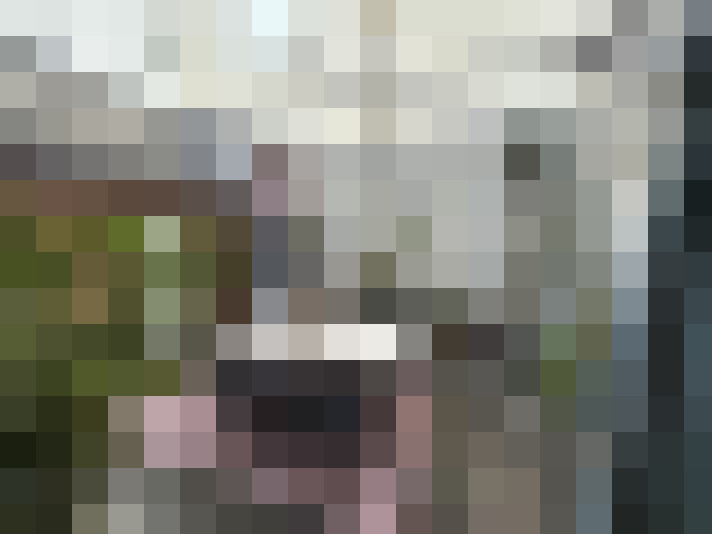  / #8