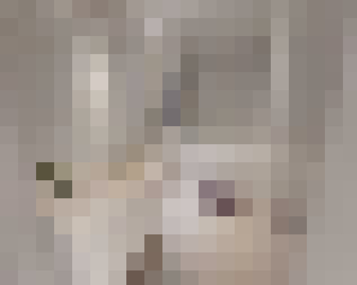  / #19