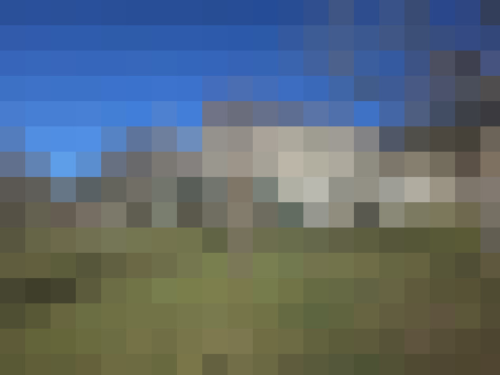  / #16