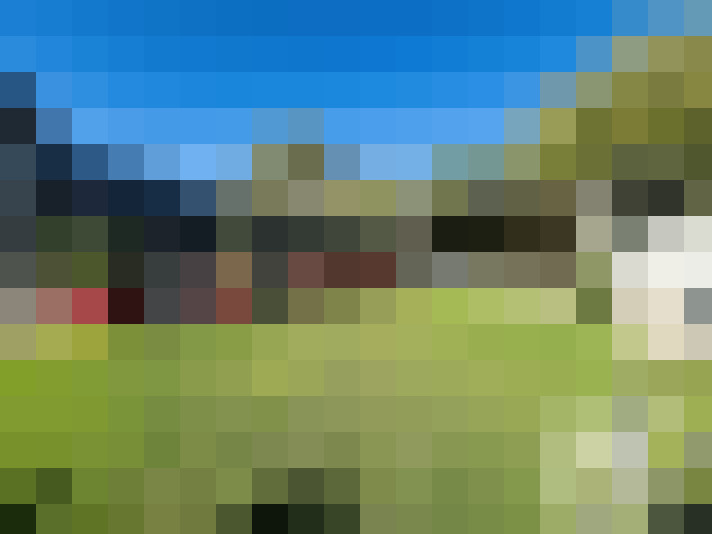  / #13