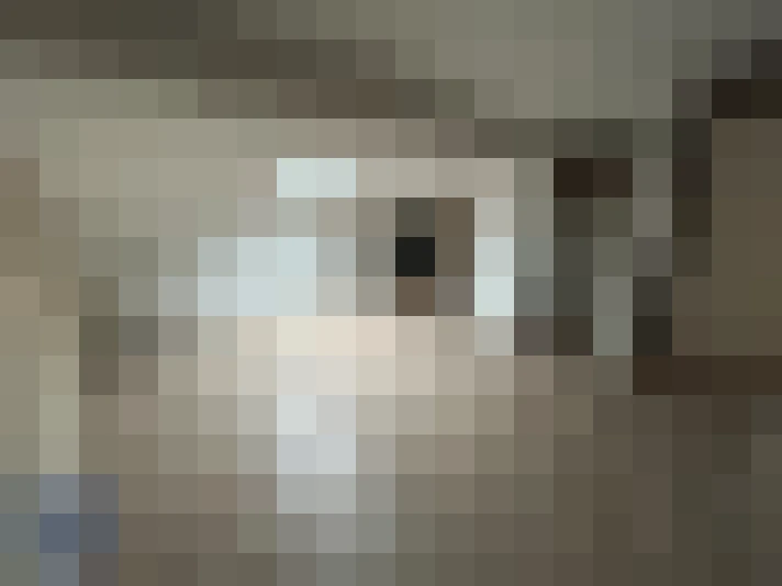  / #13