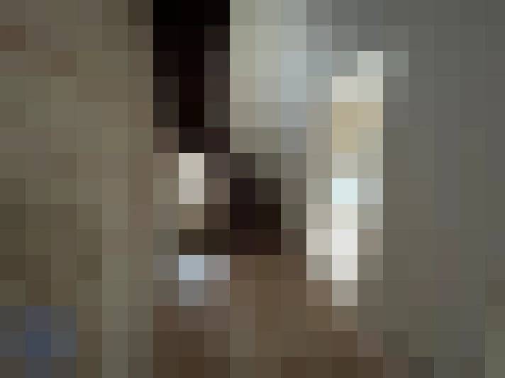  / #7