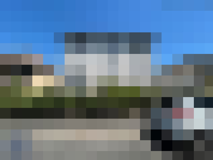  / #7