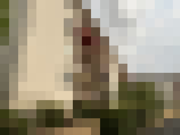  / #9