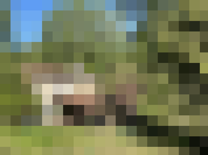  / #7