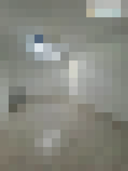  / #8