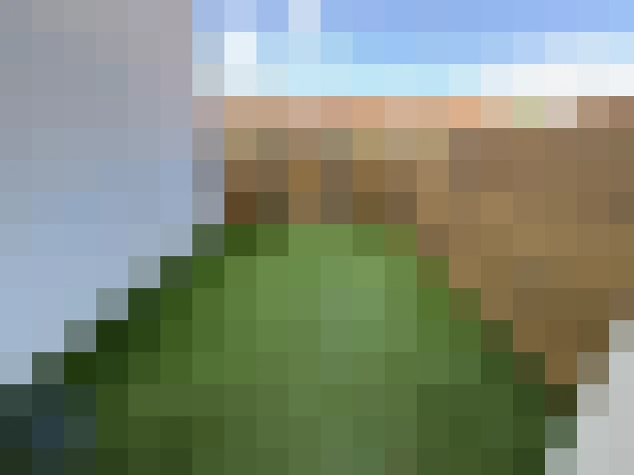  / #8