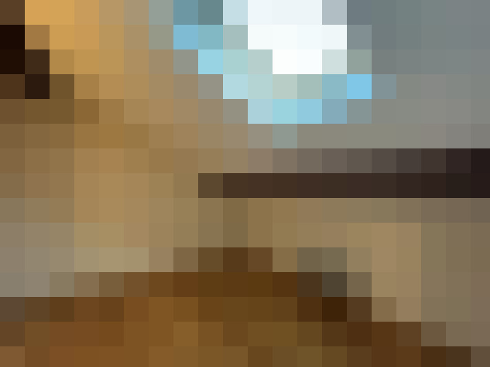  / #11
