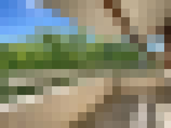  / #11