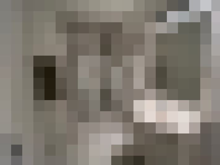  / #13