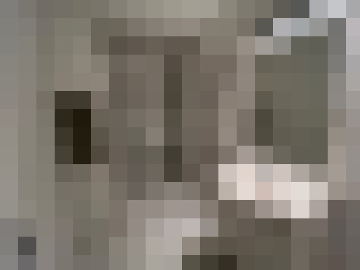  / #14