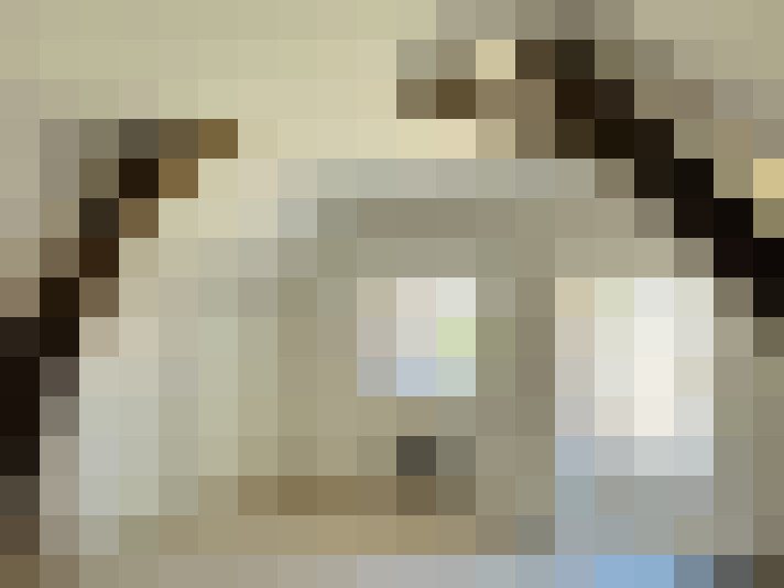  / #8