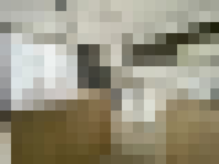  / #8