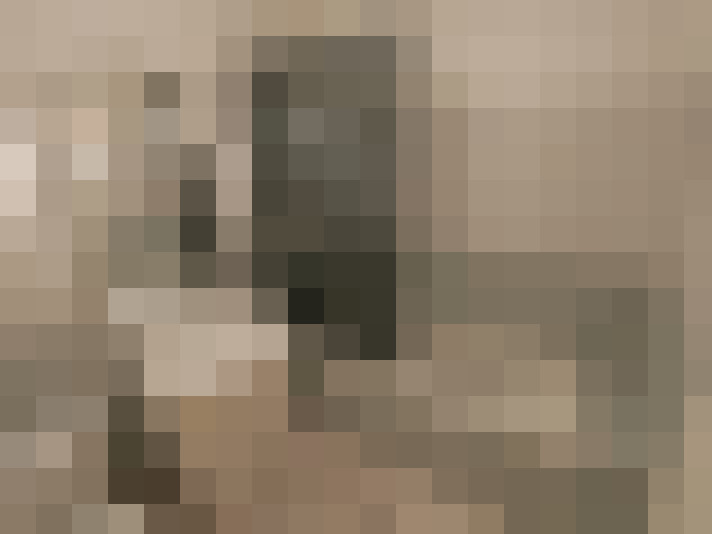  / #8