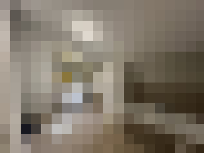  / #8