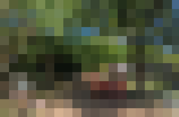  / #18