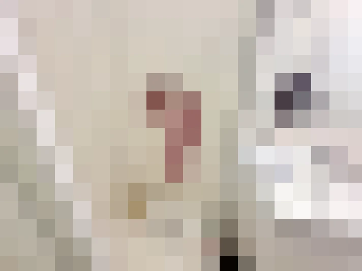  / #16