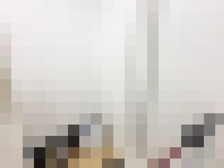  / #17