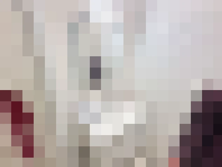  / #14