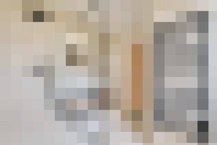  / #19