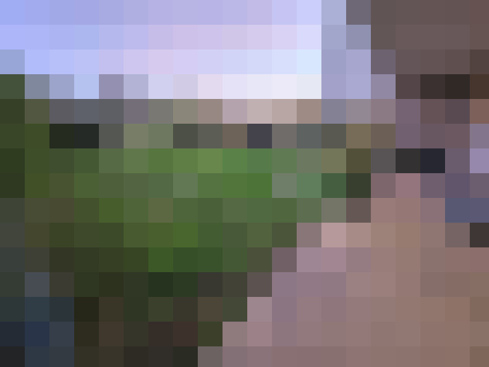  / #7
