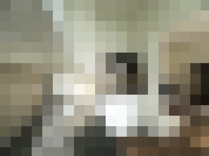  / #8