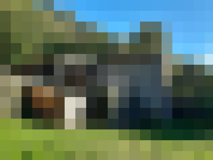  / #8