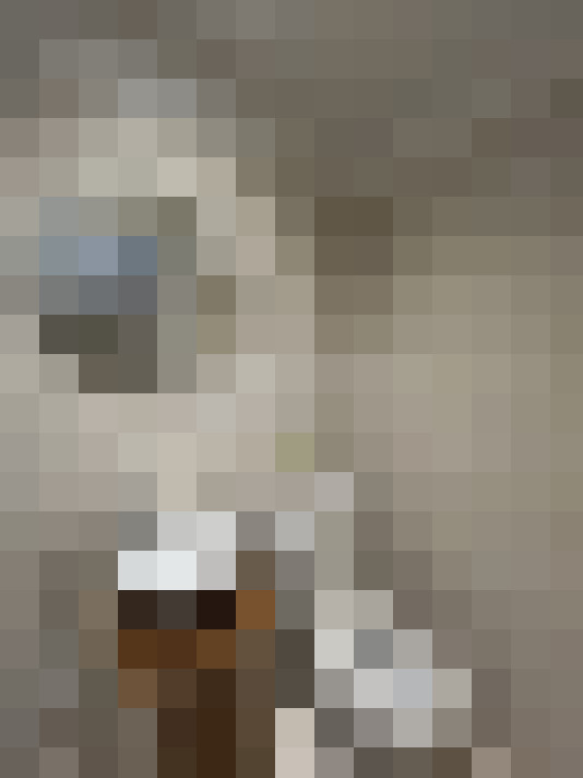  / #15