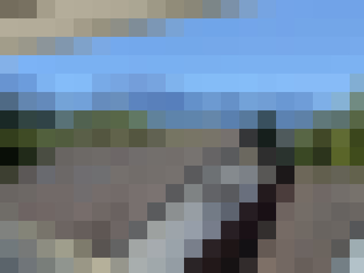  / #8